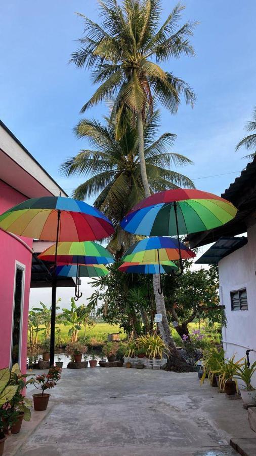 Pink Homestay D'Perlis 캉가르 외부 사진
