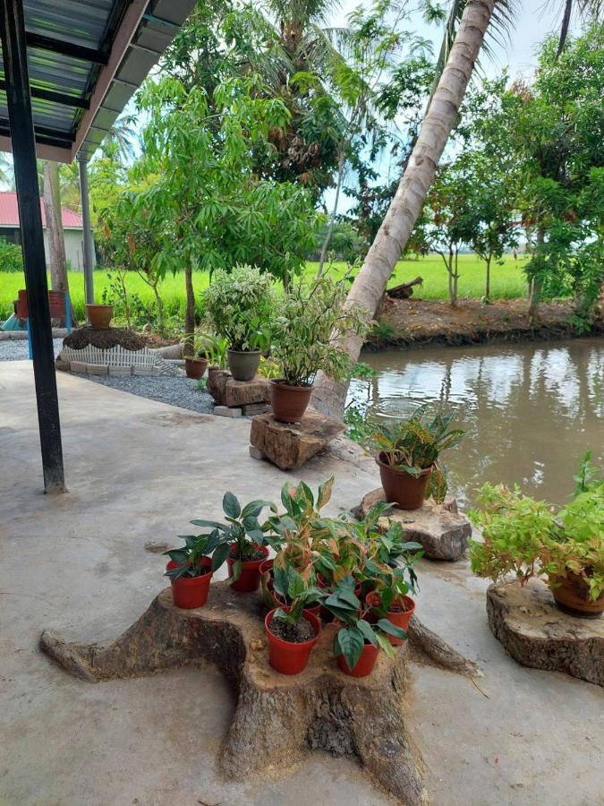 Pink Homestay D'Perlis 캉가르 외부 사진